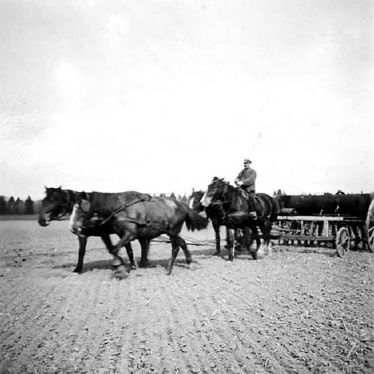 1000061 Die Felder werden bestellt.JPG